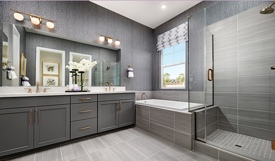 Owner's Bathroom of the Decker plan