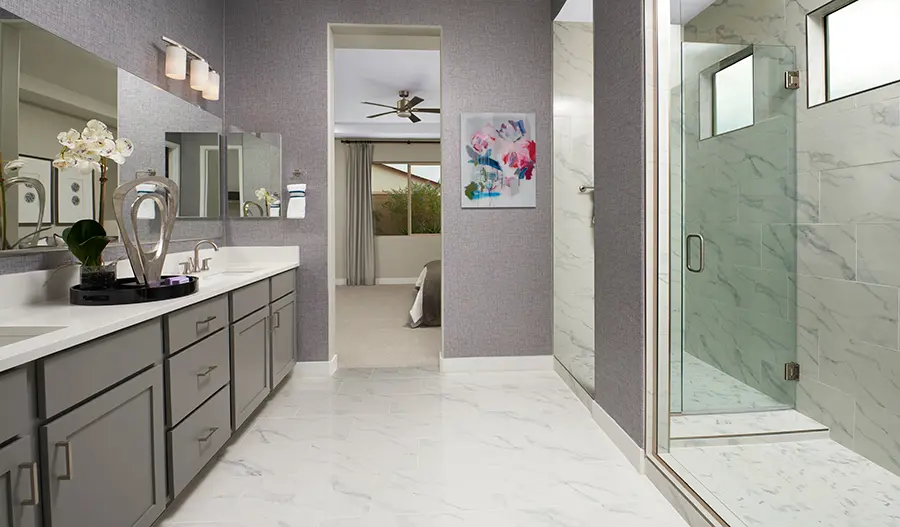 Owner's Bathroom of the Townsend plan