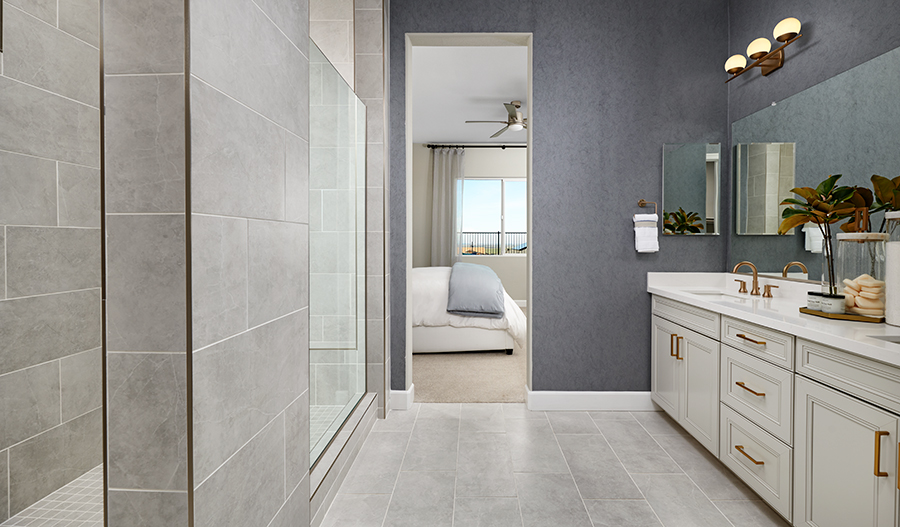 The Daniel Owner's Bathroom of the Daniel plan