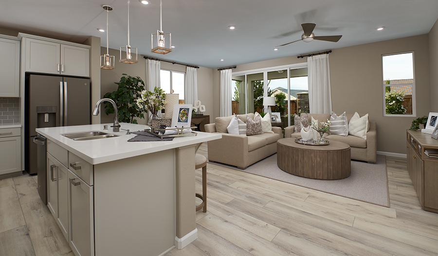 Great room of the Amethyst plan