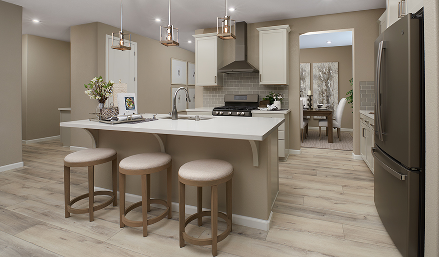 Kitchen of the Amethyst plan
