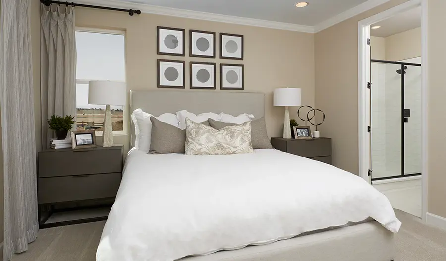 Owner's Bedroom of the bronze plan