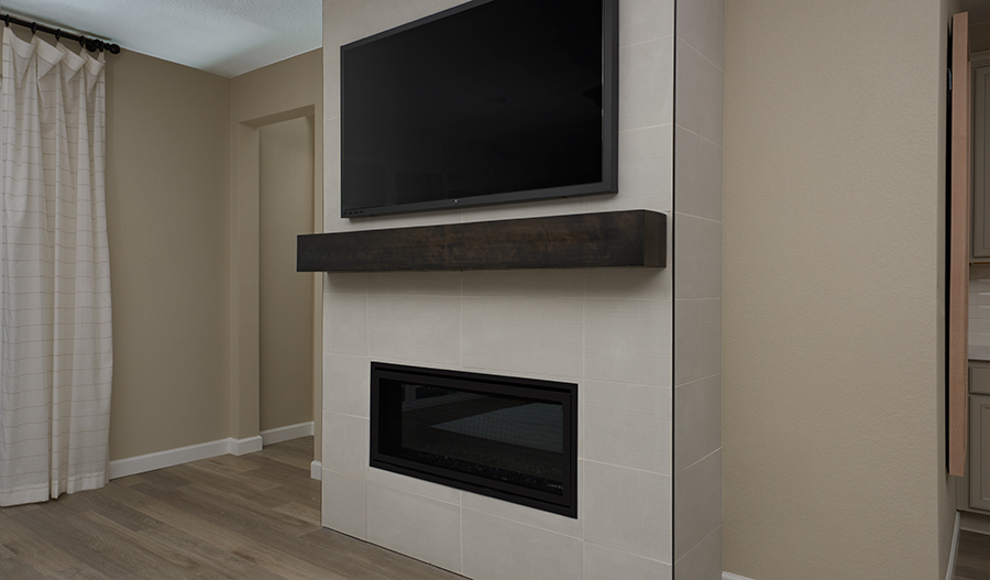 Fireplace of the bronze plan