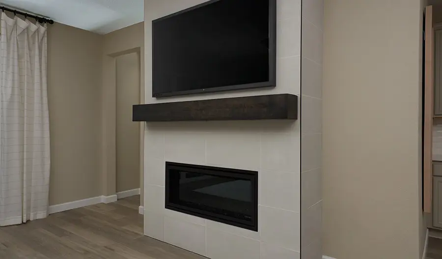 Fireplace of the bronze plan