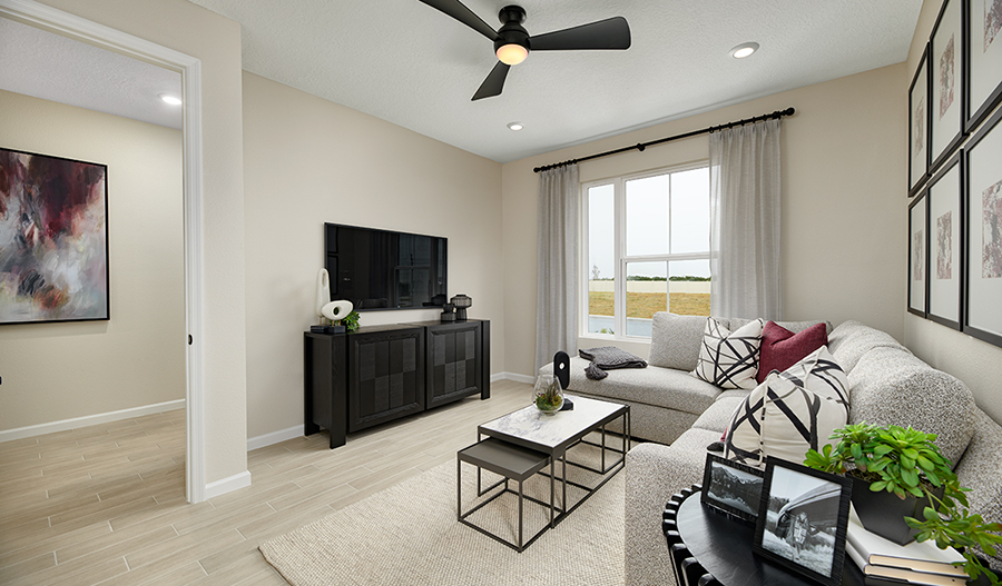 Bonus room of the Ammolite plan