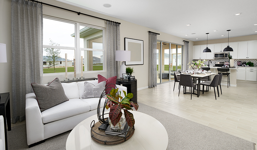 Great room of the Ammolite plan