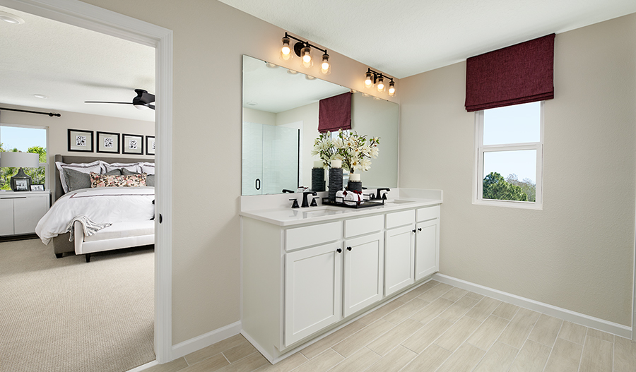 Owner's Bathroom of the ammolite plan