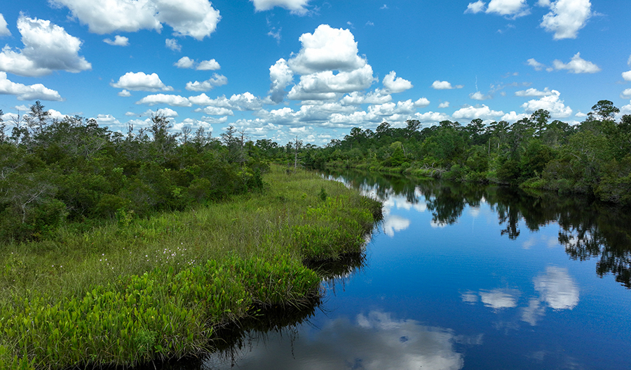 Tributary Yulee Community Richmond American Homes