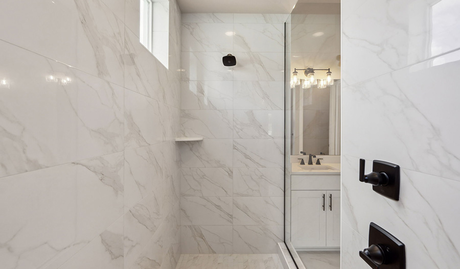 Bathroom of the Darius plan