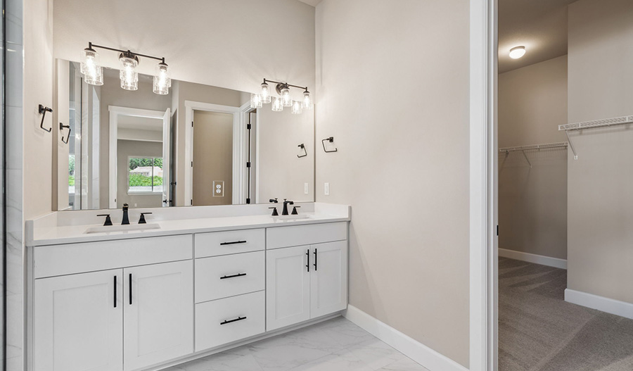 Bathroom of the Darius plan