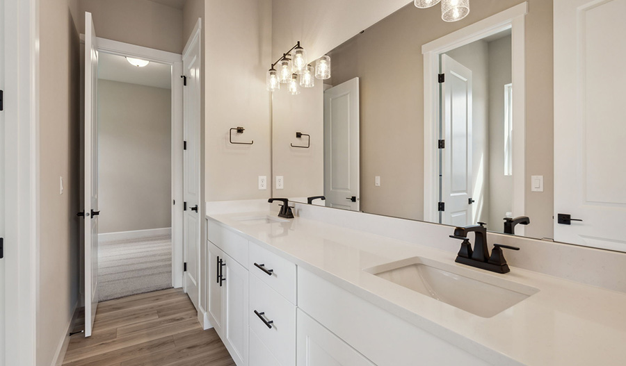 Bathroom of the Darius plan