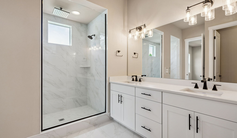 Bathroom of the Darius plan