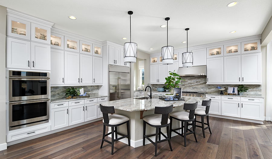 Kitchen of the Daley Plan