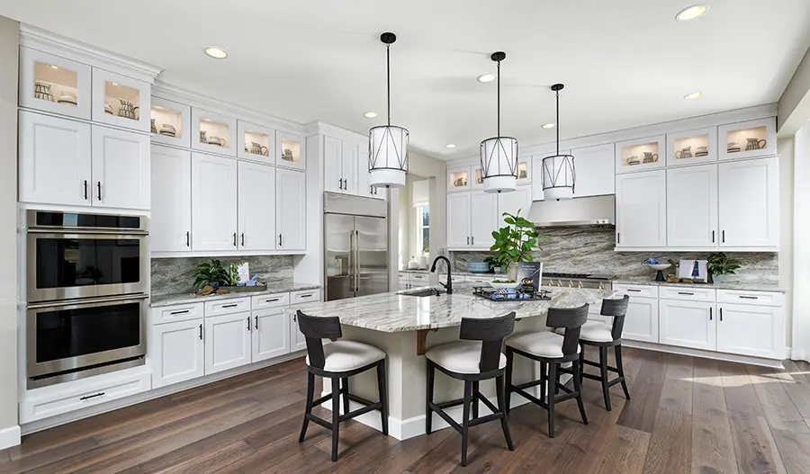 Kitchen of the Daley Plan