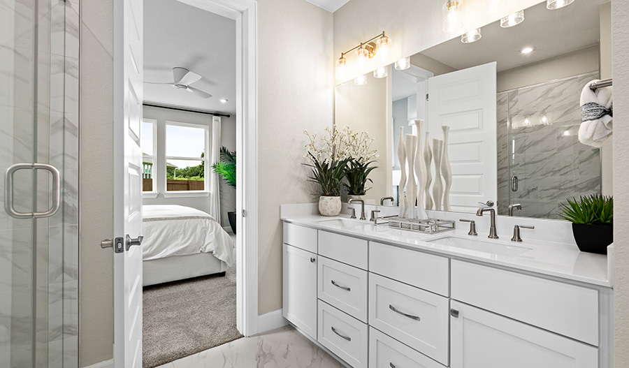 Bathroom for the Elderberry Plan
