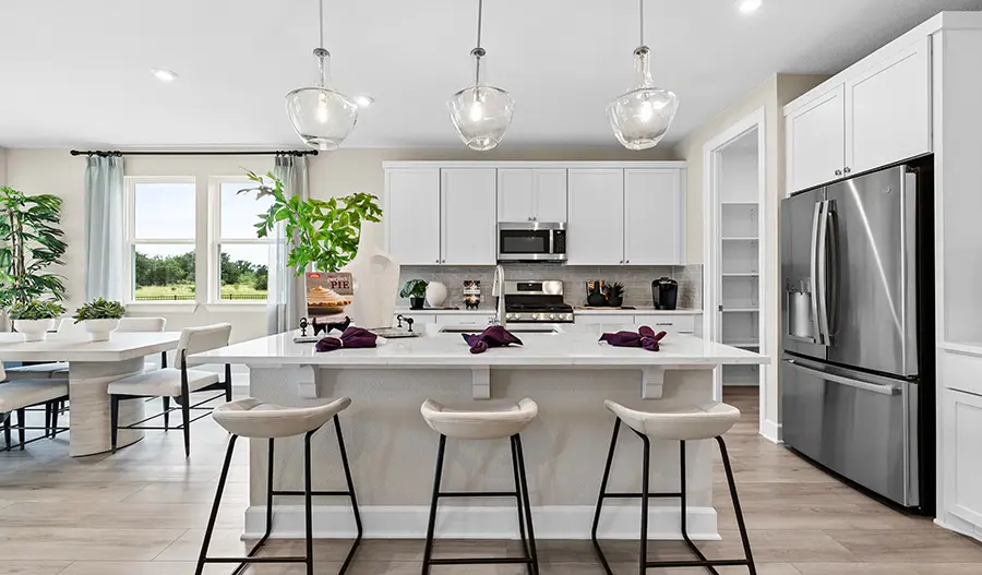 Kitchen of the Elderberry Plan