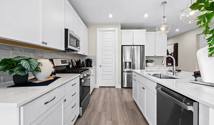 Kitchen of the Elderberry Plan