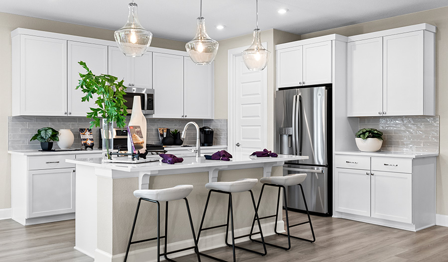 Kitchen of the Elderberry Plan