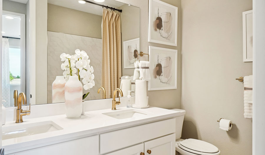 Bathroom of the Alexandrite Plan