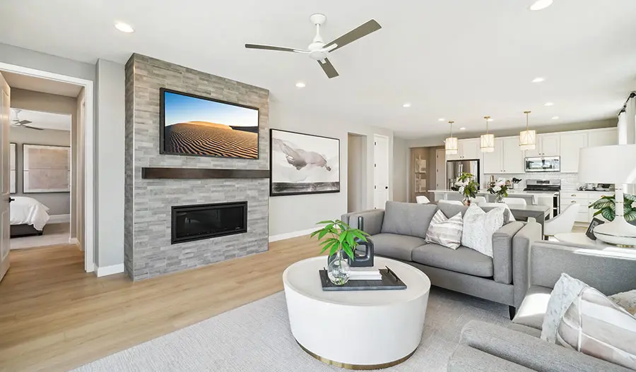 Great Room Great Room of the Alexandrite Plan