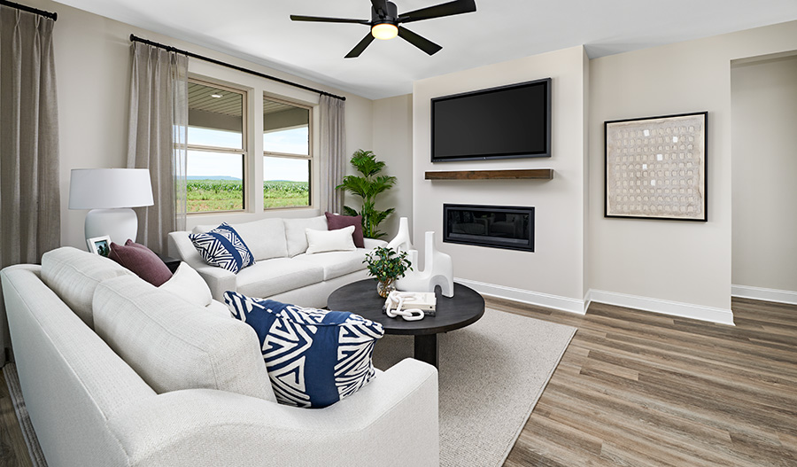Great Room of the Elderberry Plan