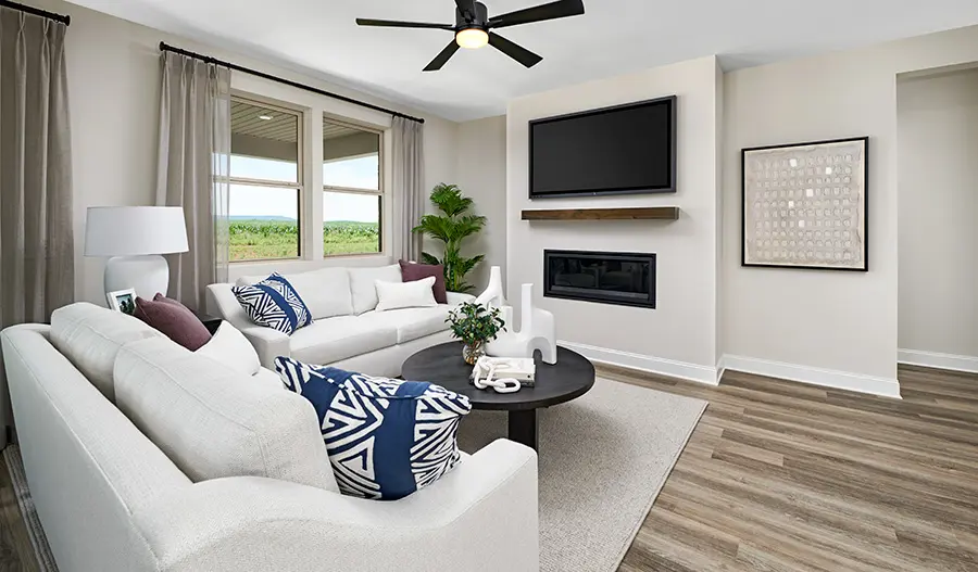 Great Room of the Elderberry Plan