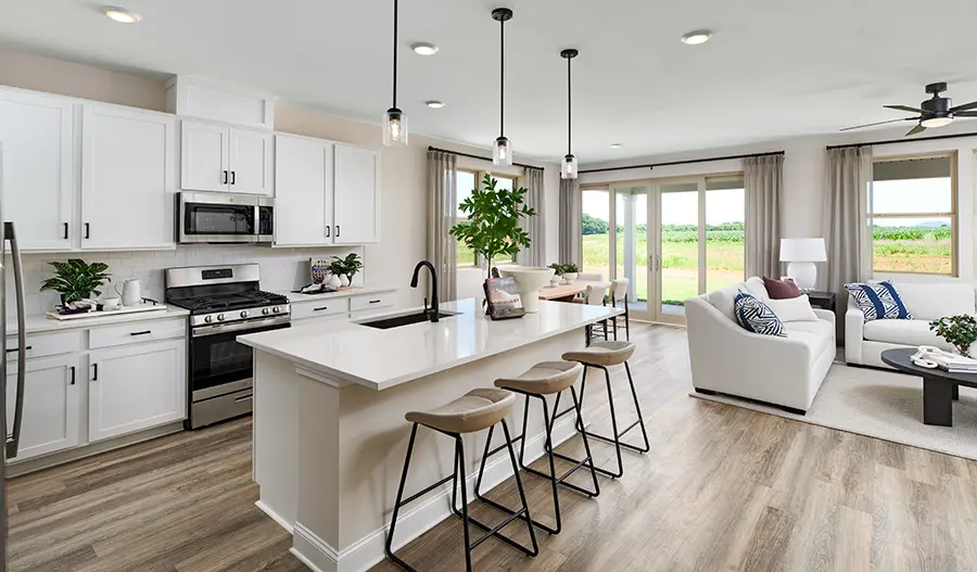 Kitchen Kitchen of the Elderberry Plan