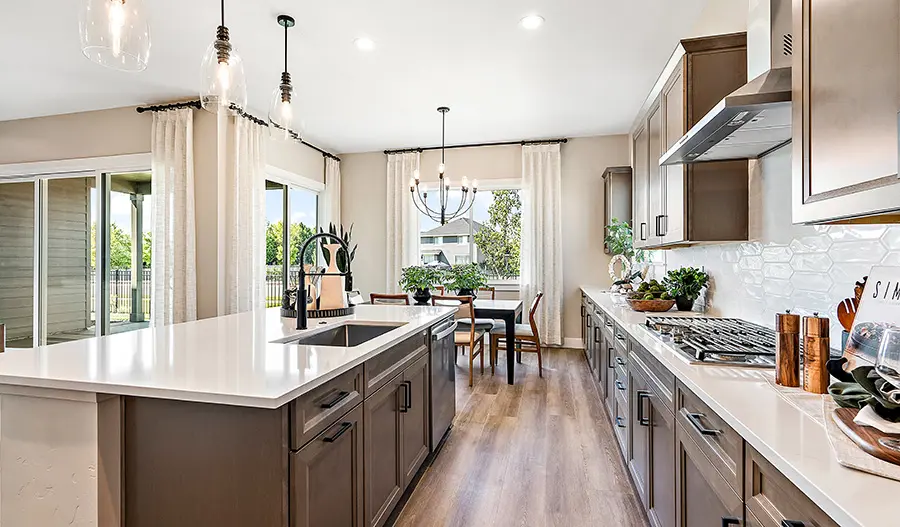 Kitchen Kitchen of the Delaney floor plan