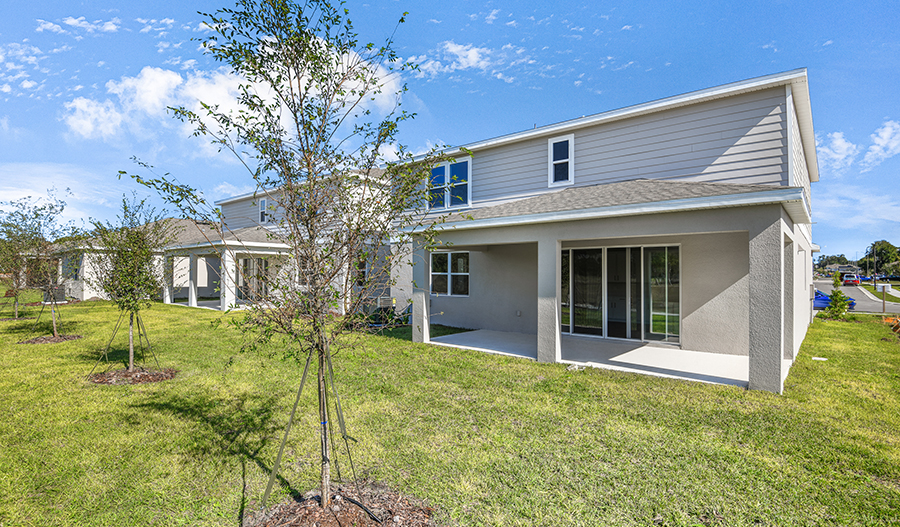 Rear Exterior of the Ammolite floor plan