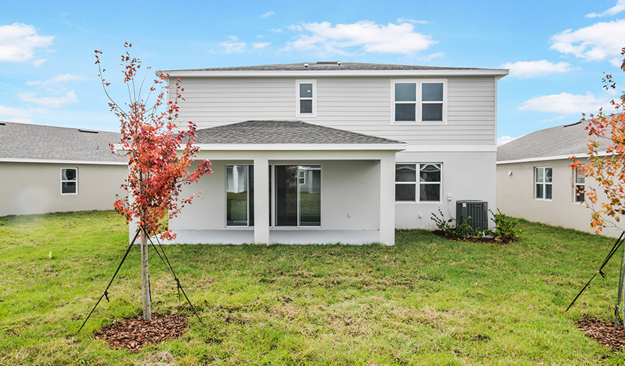 Rear Exterior of the Ammolite floor plan