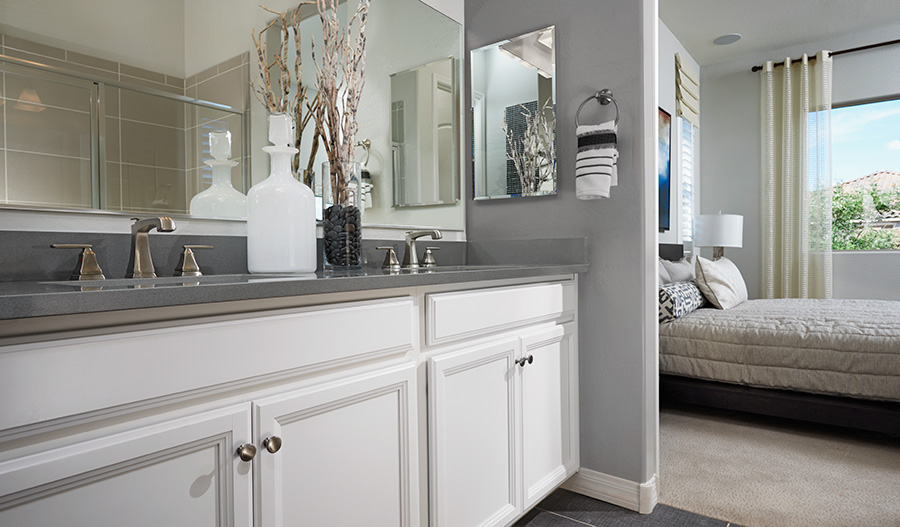 Owner's bathroom in the Onyx floor plan
